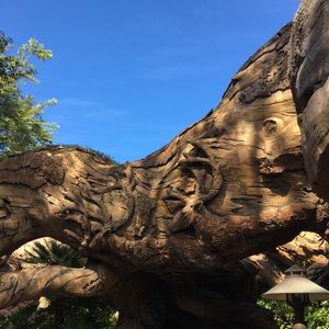 Meet your Posher, Imelda